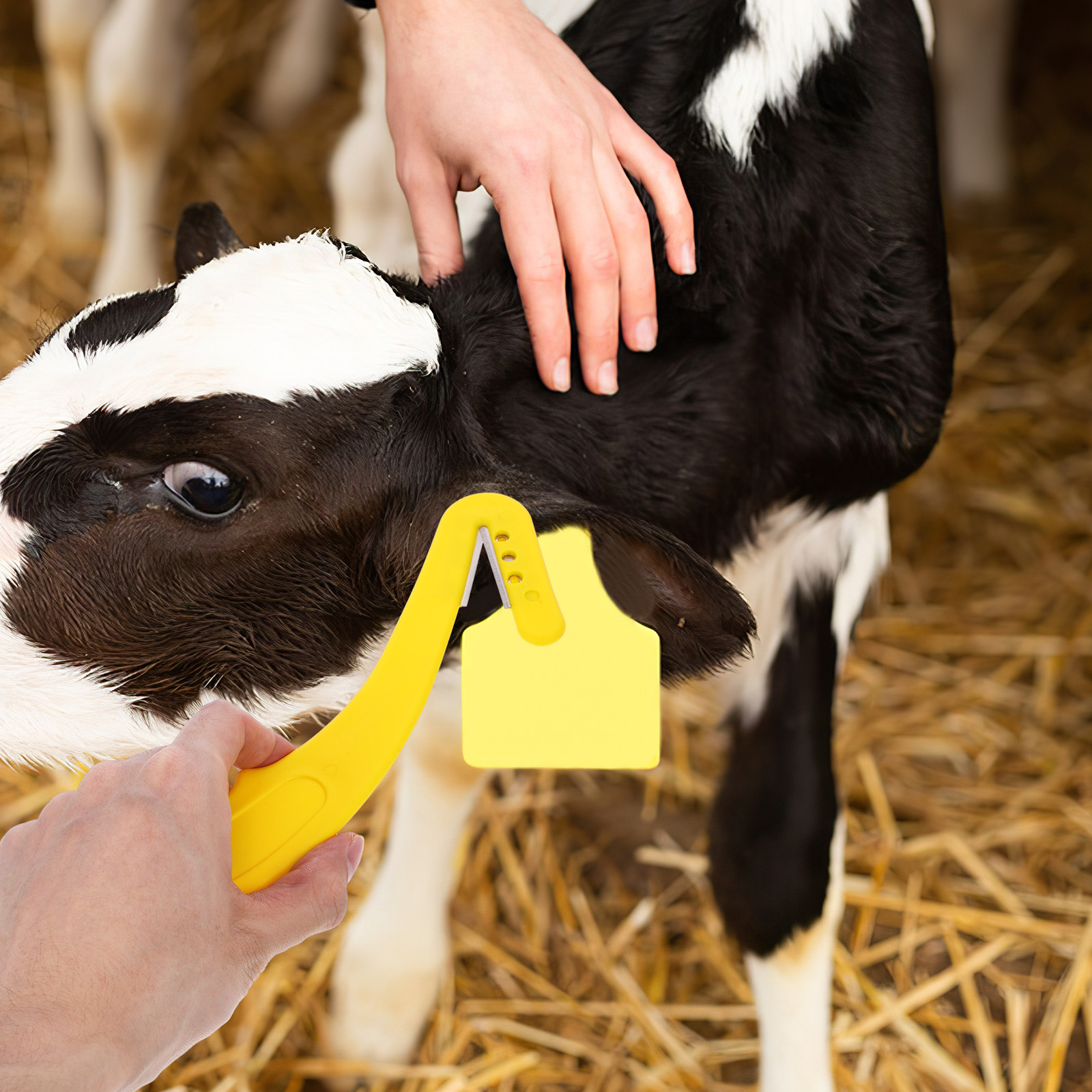 Livestock Ear Tag - أداة إزالة علامات الأذن للماشية، قطعتان،