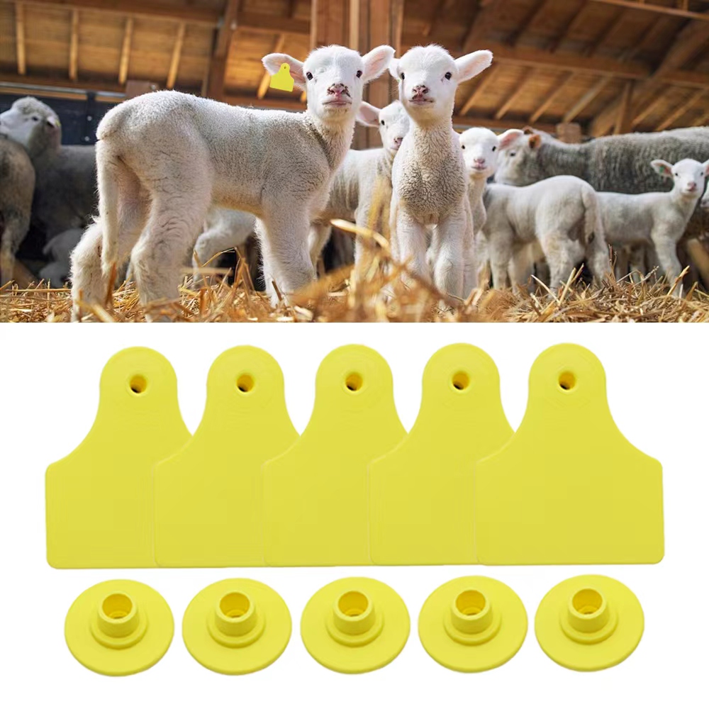 Livestock Ear Tag - 20 قطعة من علامات الأذن الفارغة