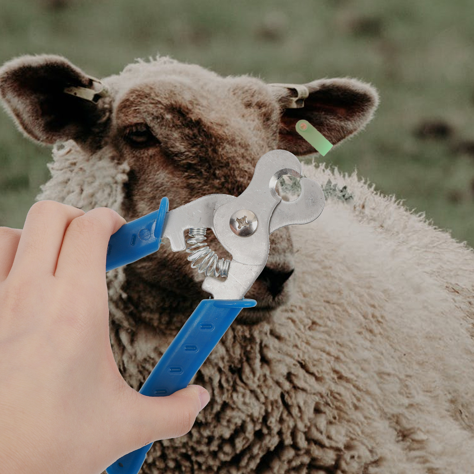 1 قطعة، أداة إزالة علامات الأذ - مراجعة Livestock Ear Tag وسعره